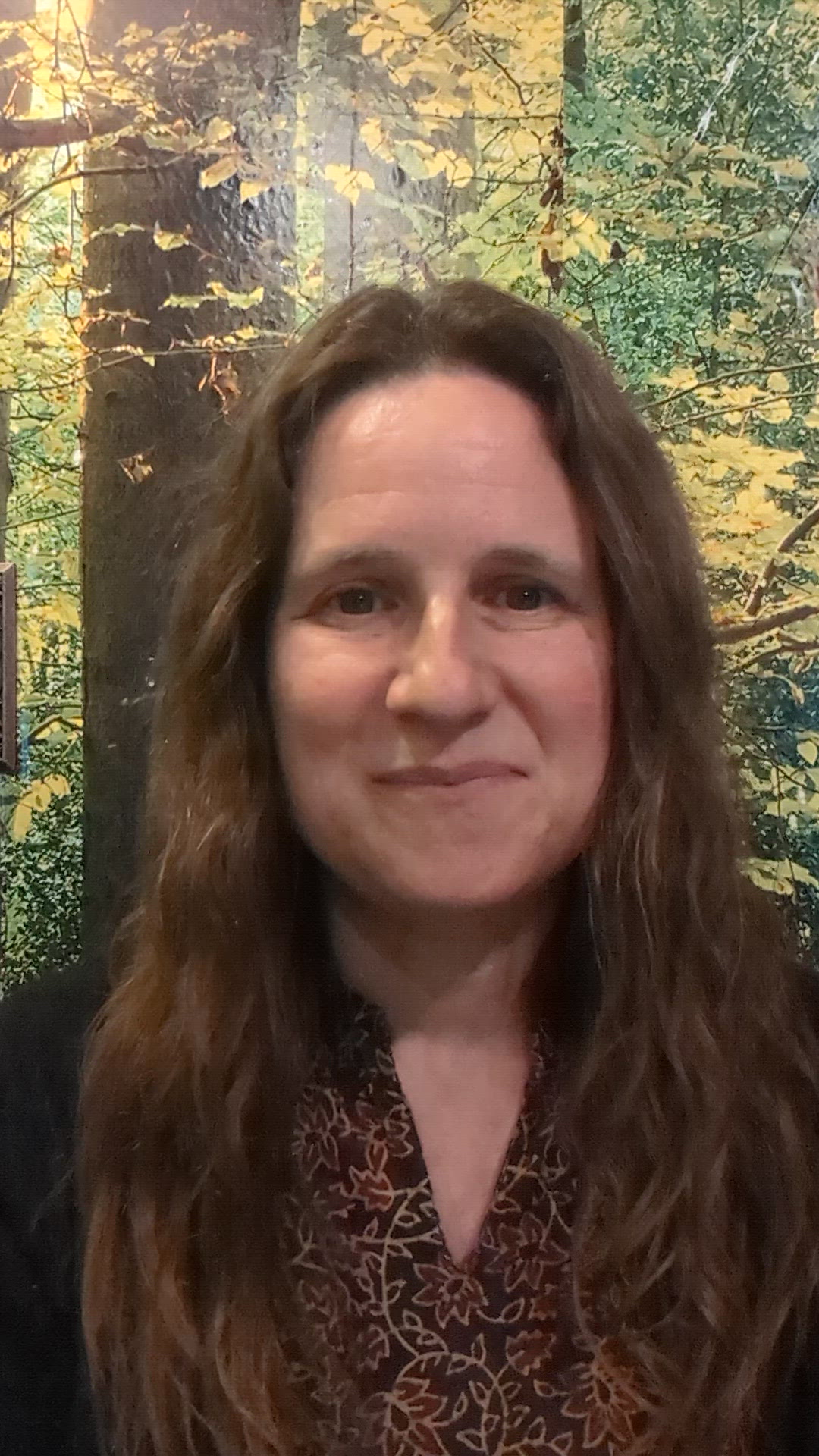 Adina Levitt Clinical Social Work Therapist Iowa City Ia