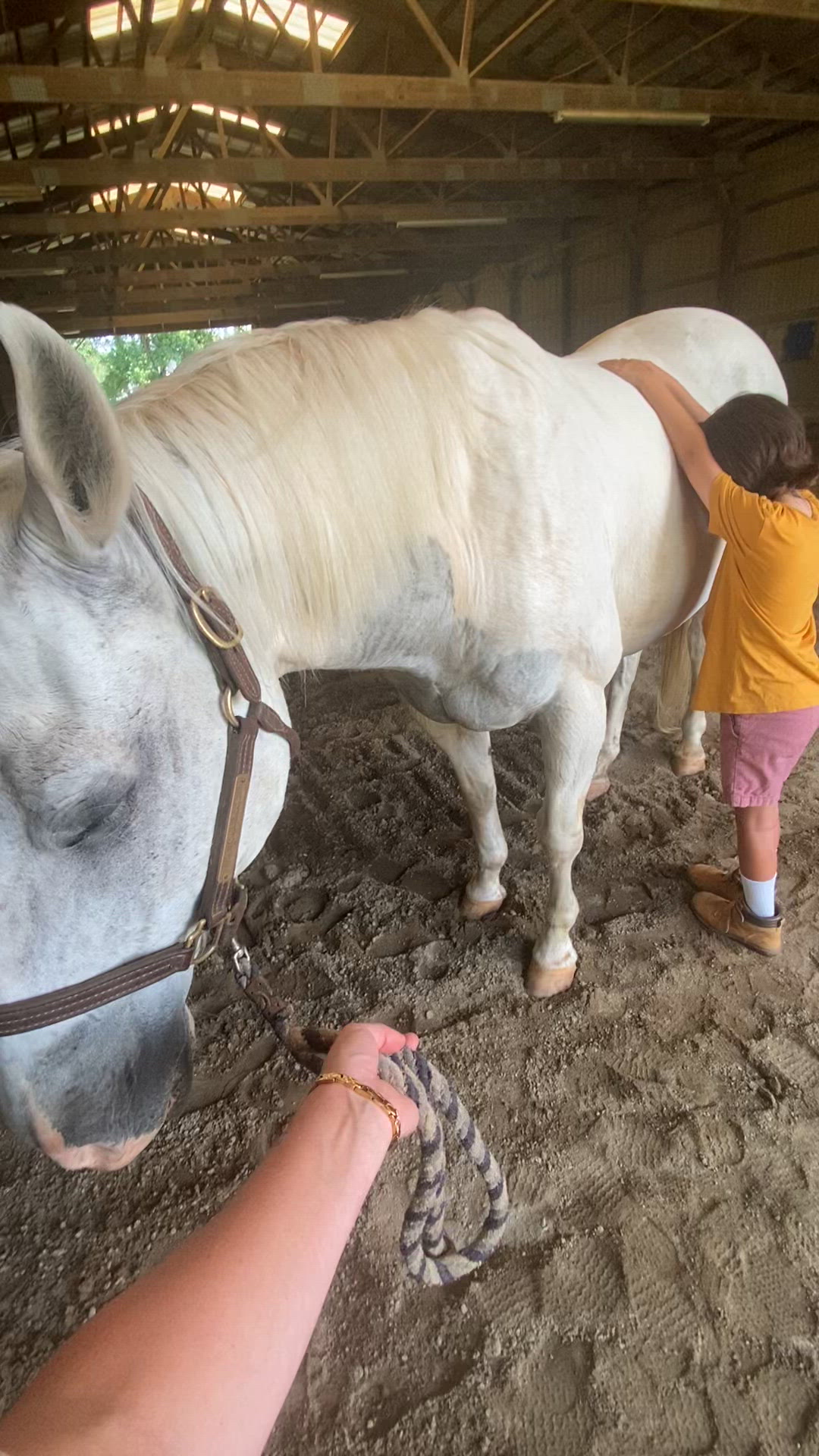 Eldersburg Equine Psychotherapy