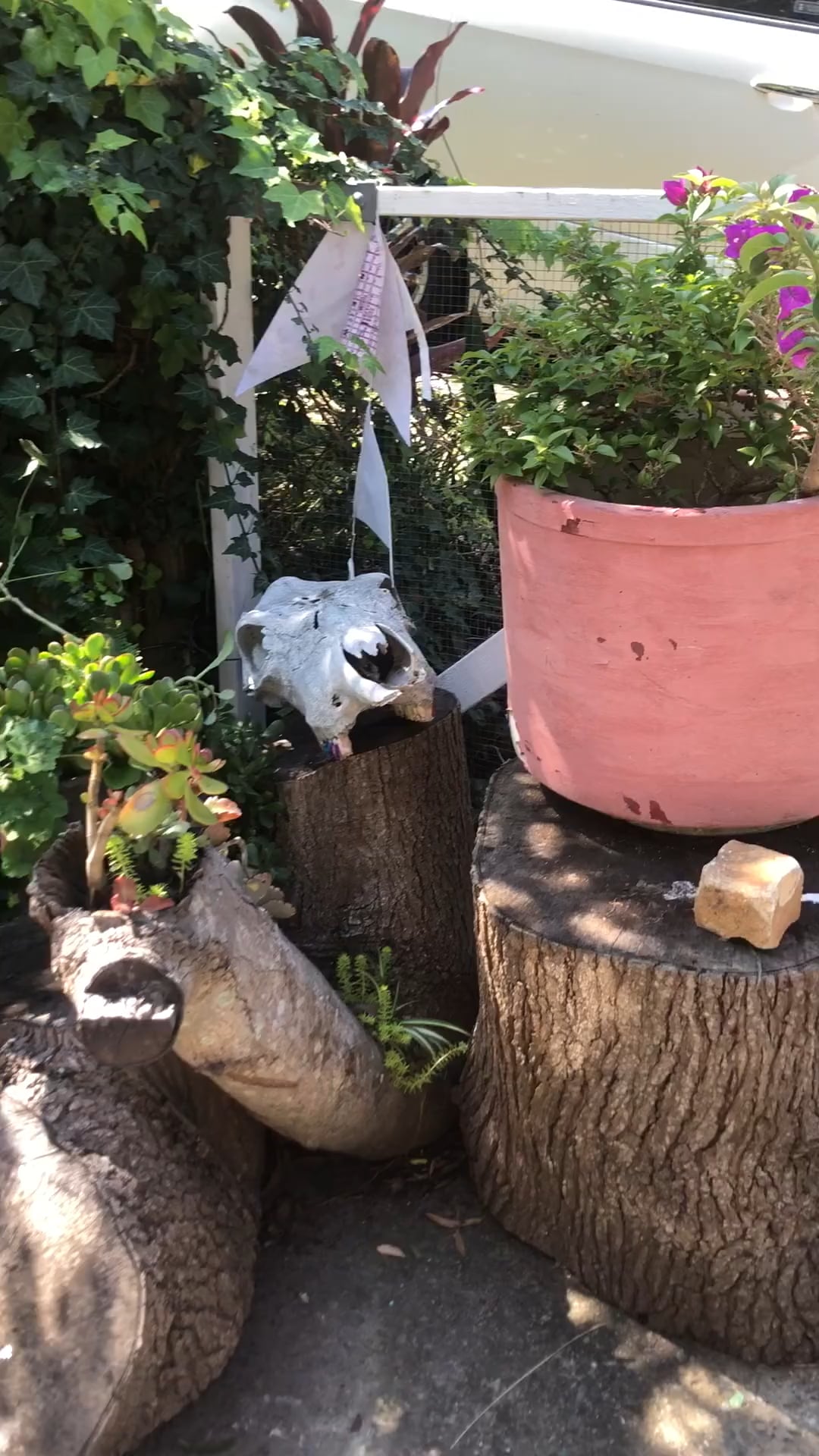 Treehouse Wellness and Art Studio