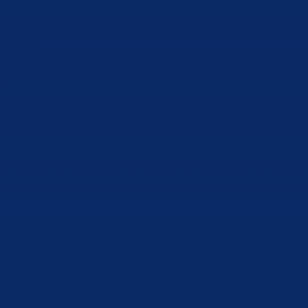 Ravenwise Consulting 