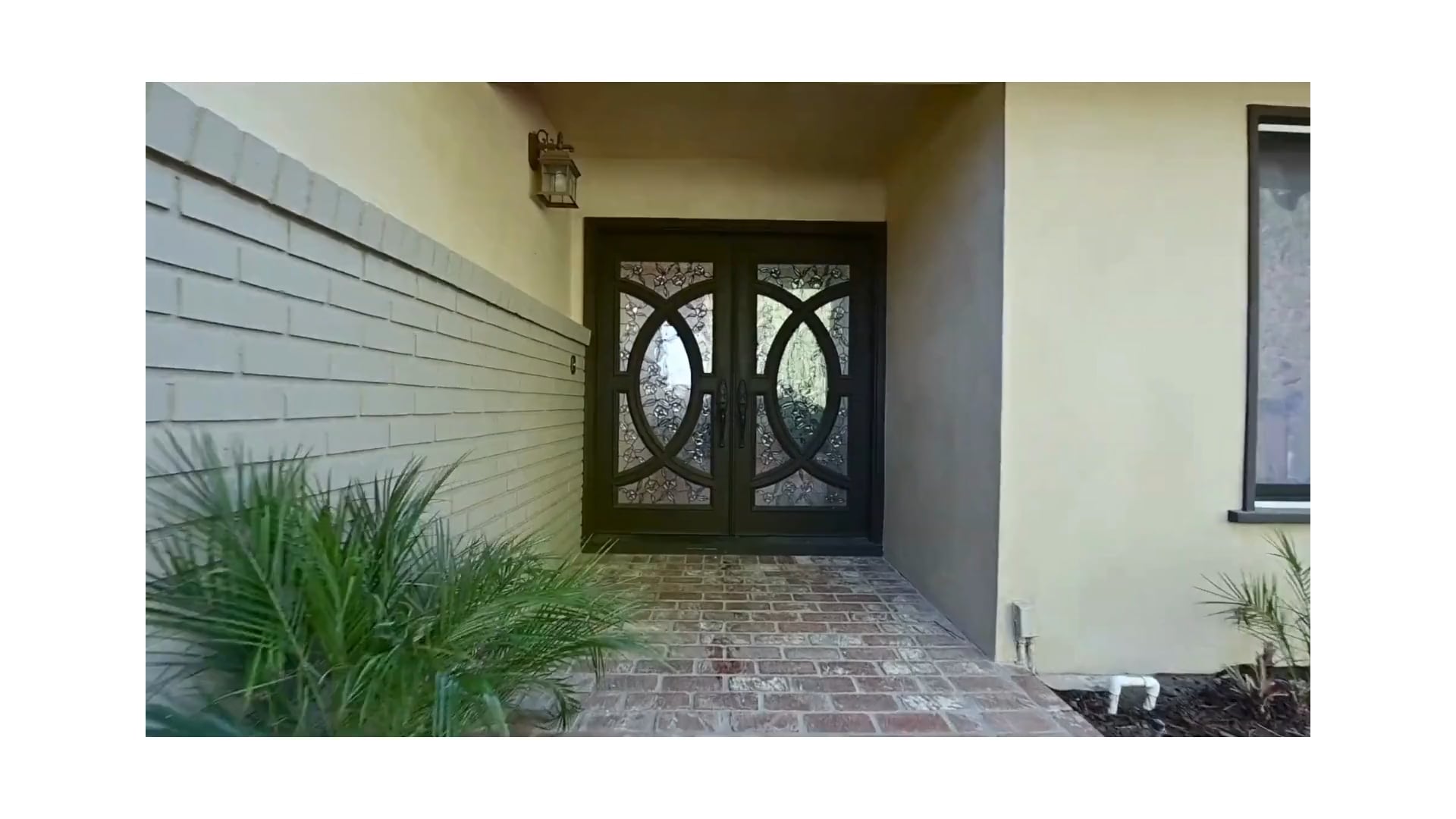 My Limitless Journeys