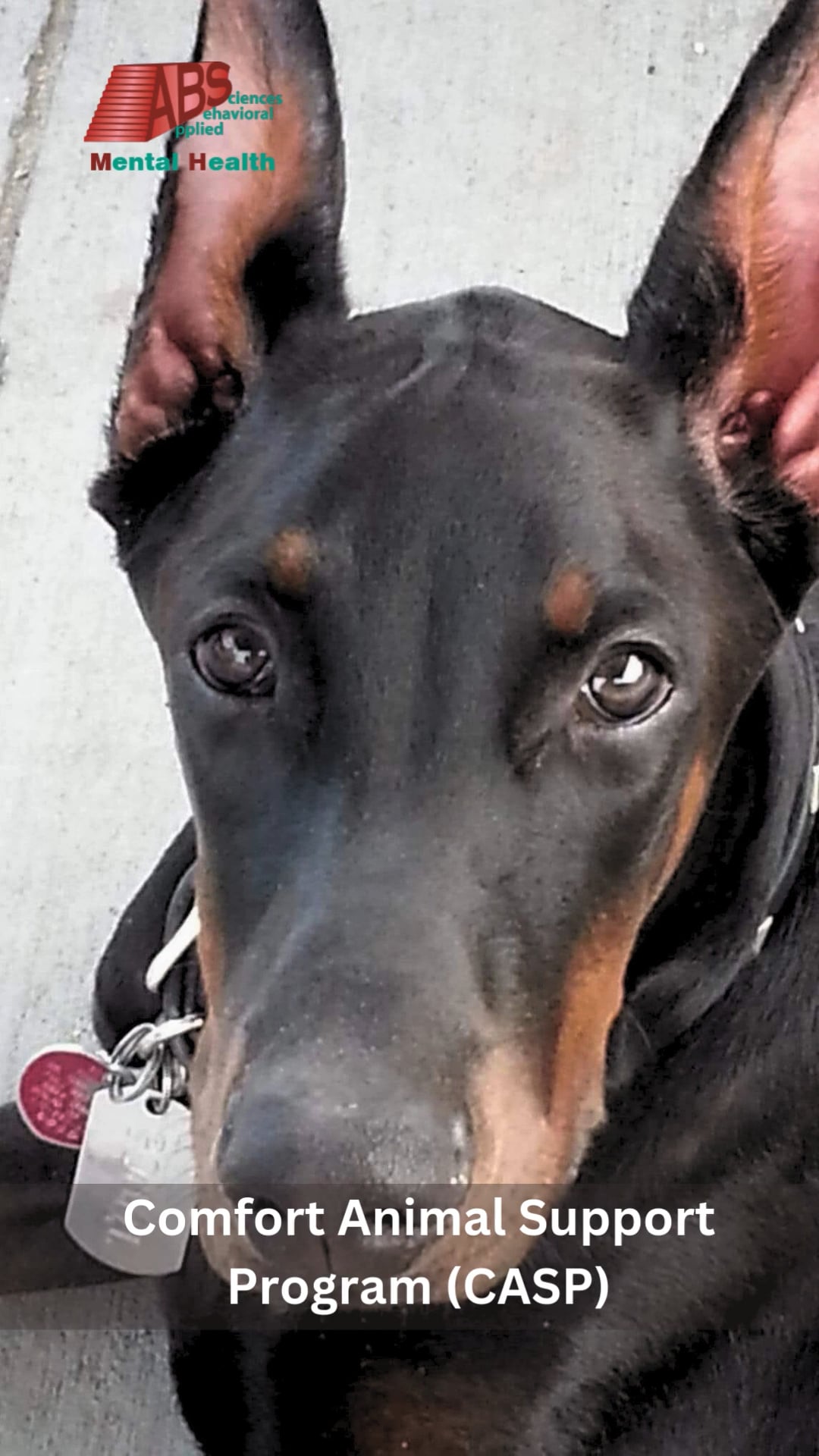 ABS Comfort Animal Support Program