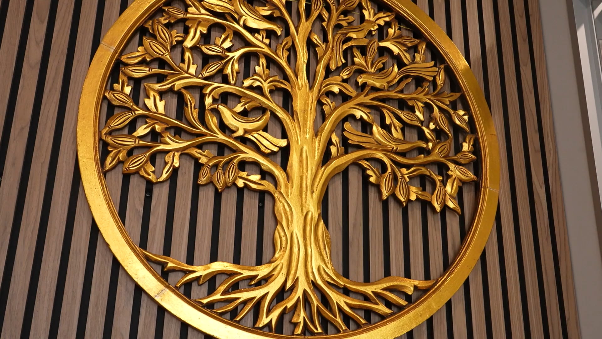 Life Minded Psychology