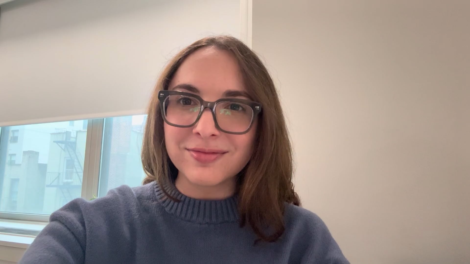 Clara Scher, Clinical Social Work/Therapist, Brooklyn, NY, 11242 ...