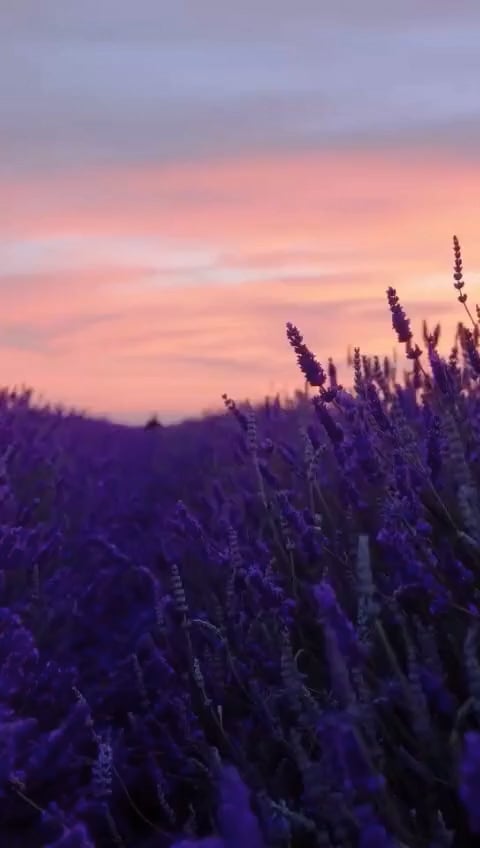 Cesiah Merary Conde Sànchez