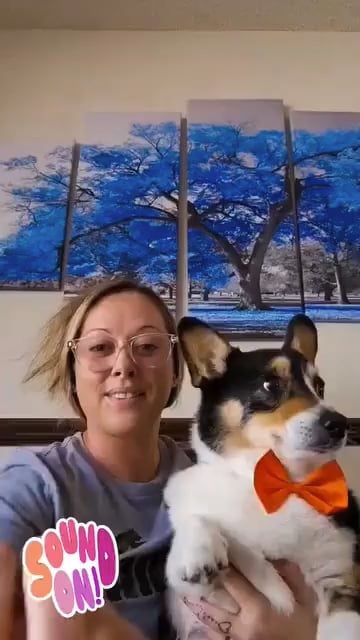 Enlightenment Counseling, LLC