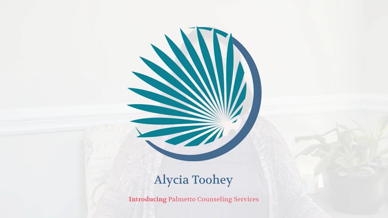 Palmetto Counseling & Consulting Services, LLC