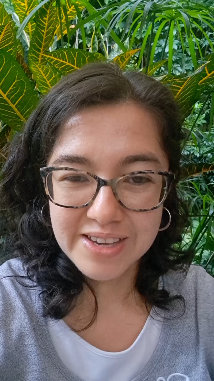 Brenda Mariana Carrillo Rosales