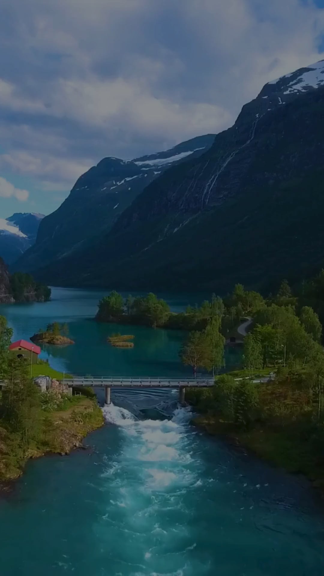 MindShift Psychological Services