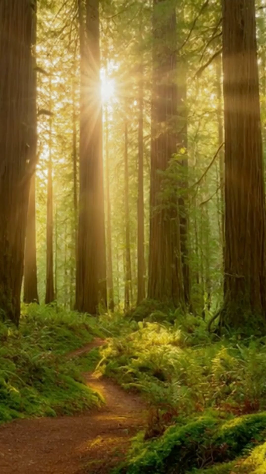 Juauna Krogh EMDR Therapist