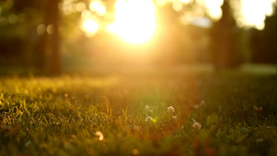 Aspire Counseling Services Santa Clarita