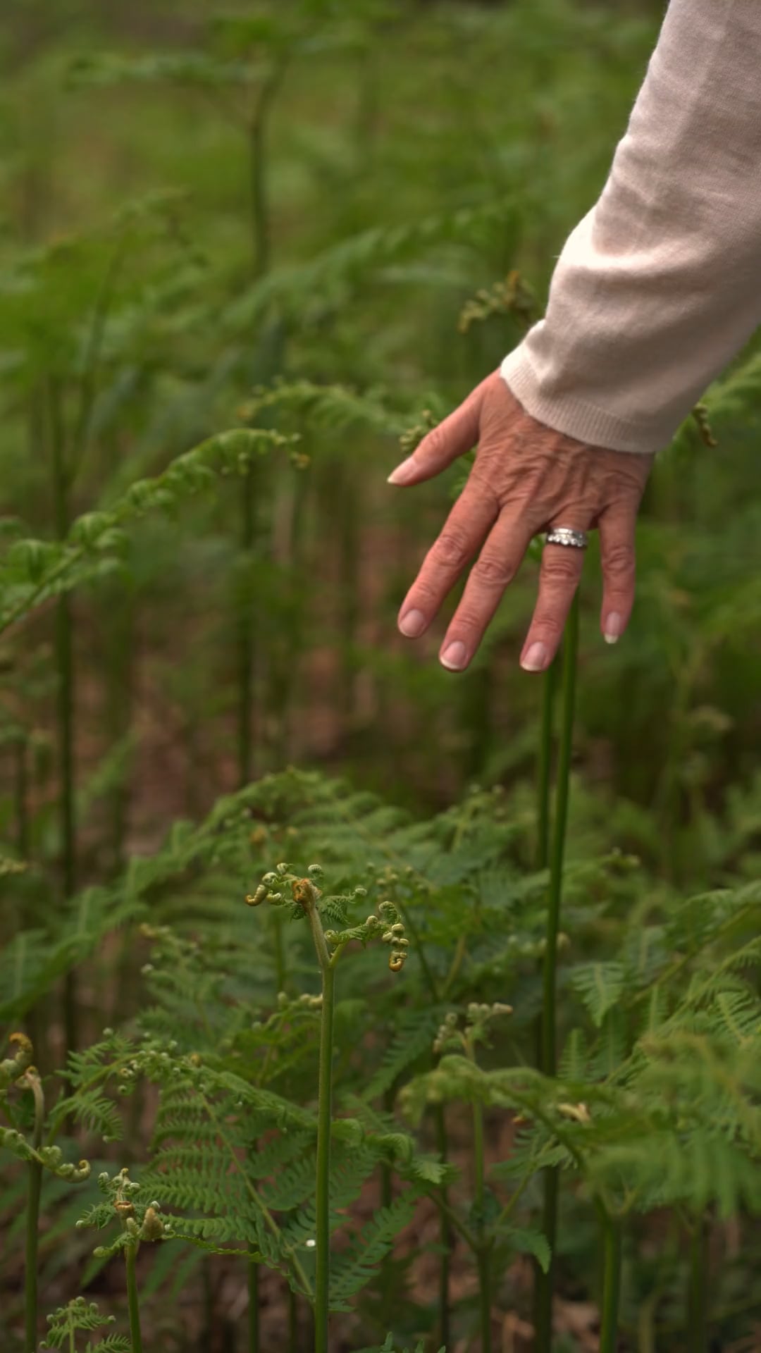 Awaken Discovery Counselling and Psychotherapy