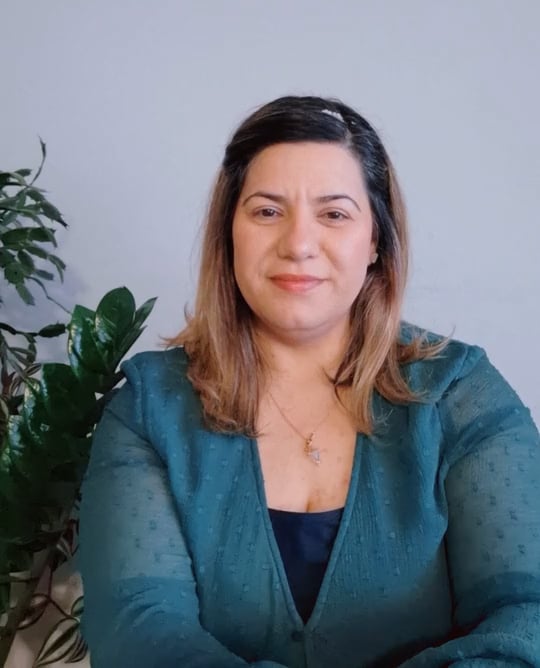 Transforming Emotions - Alina Axin