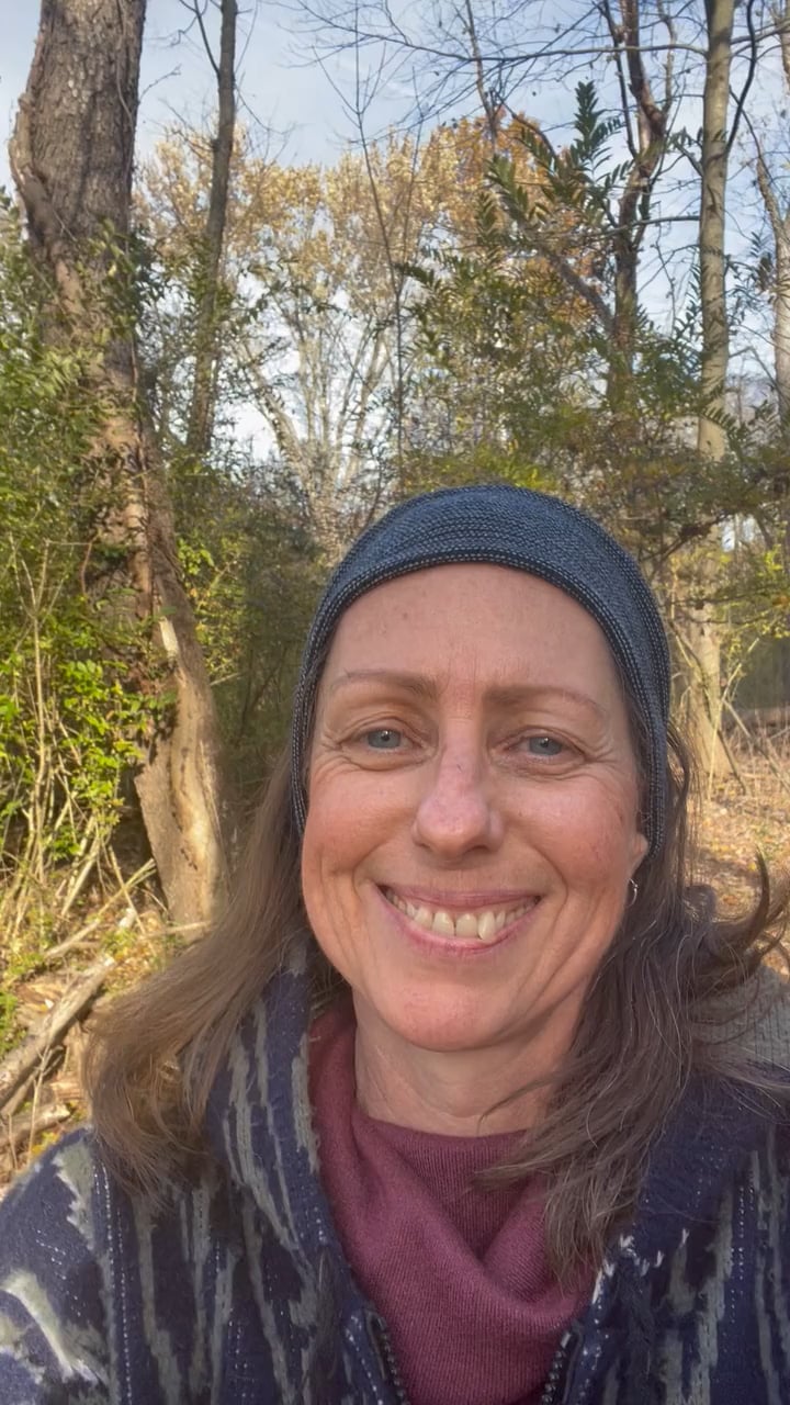 Holistic Counseling and Wellness