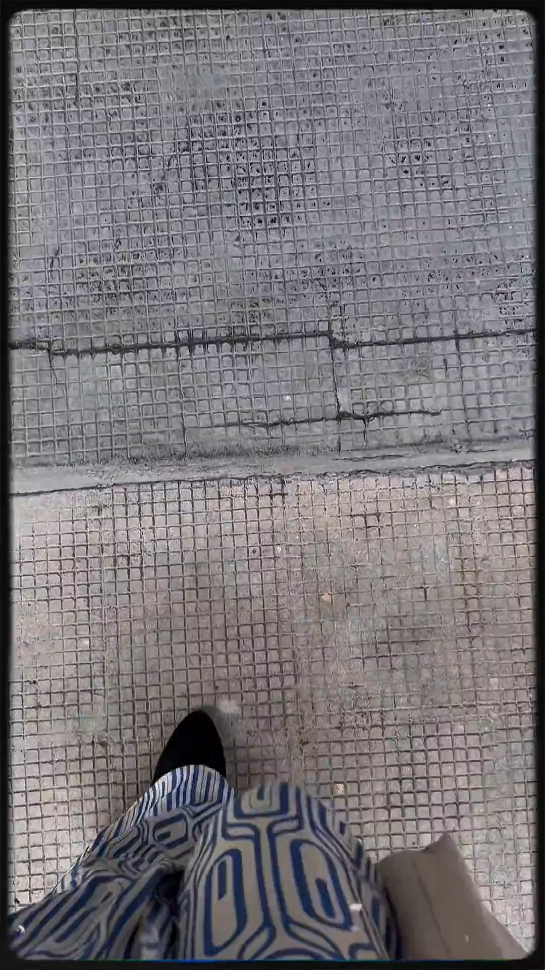 Andrea Solís Castañeda