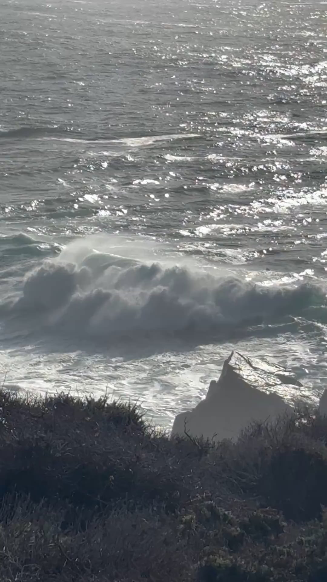 Dr. Edna Celeste Rodriguez