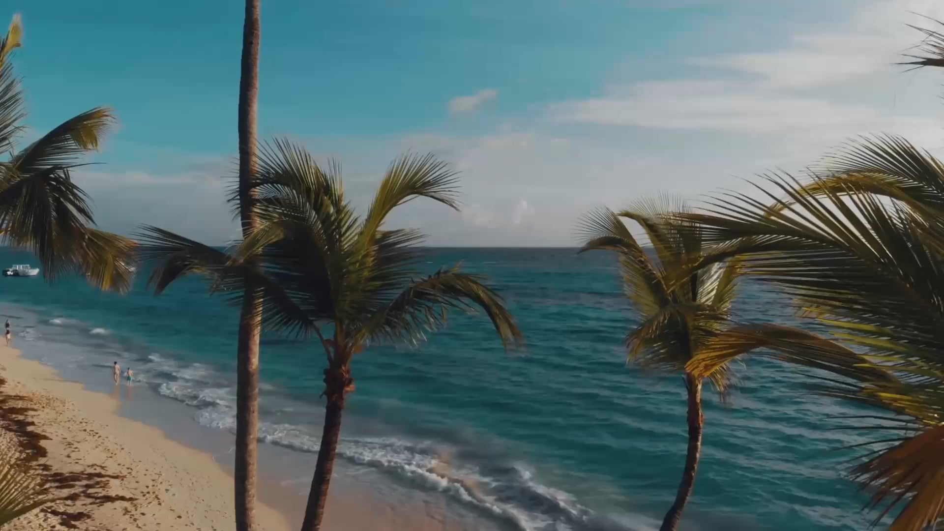Recover Anywhere