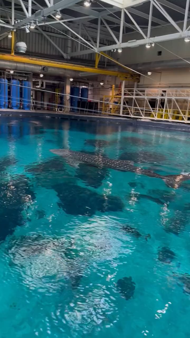 Christopher Michael O'Connor