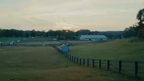 MTR Horses that Heal