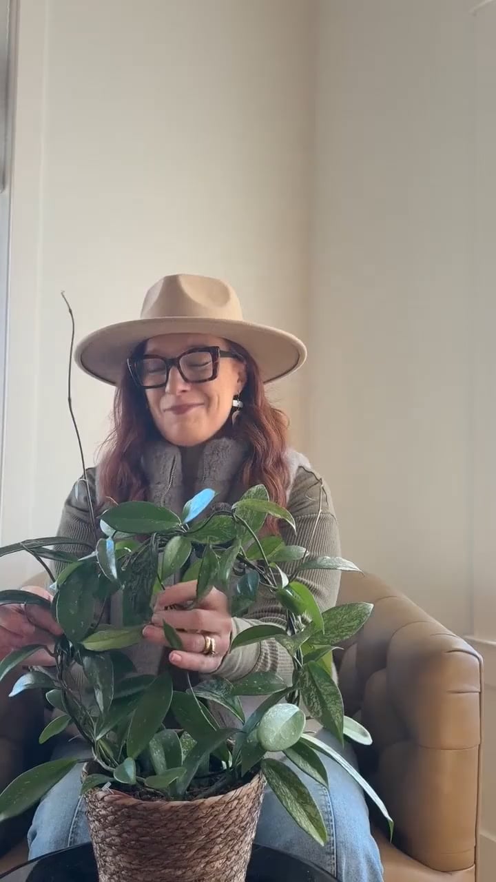 Shelly Yost, LCSW-C - Christian Therapist
