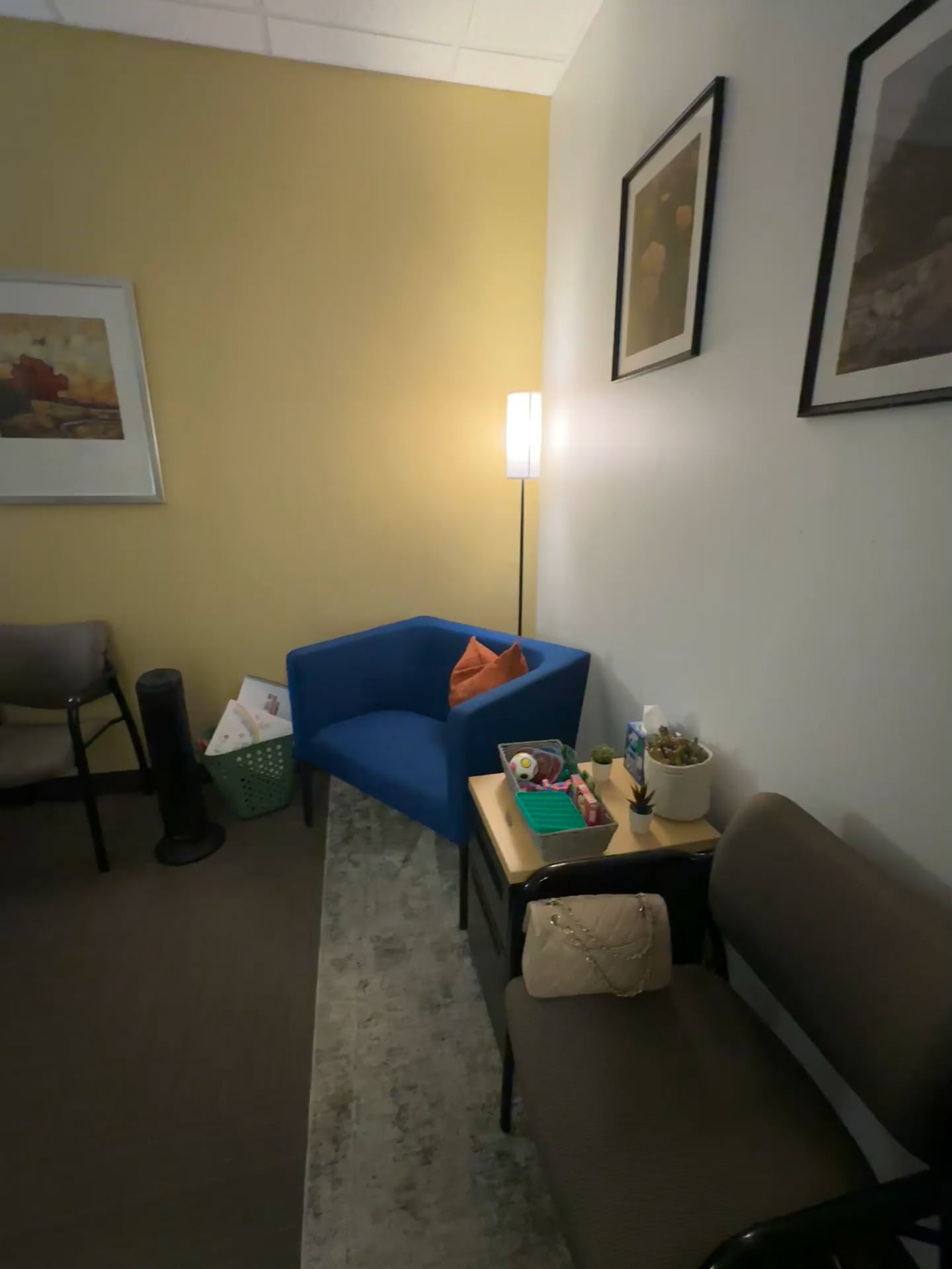Anah Wallace, Teen and Adult Therapist