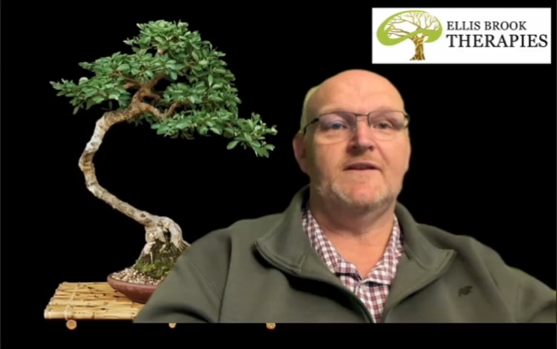Ellis Brook Therapies