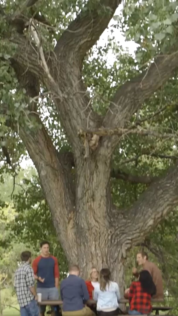 Sandstone Care Teen & Young Adult Treatment Center