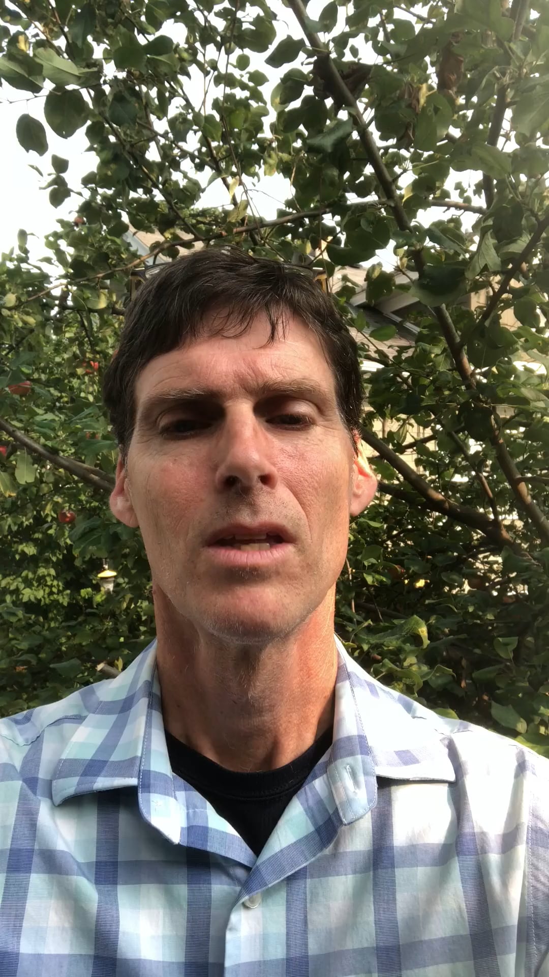 Kevin O'Brien Whole Life Counseling