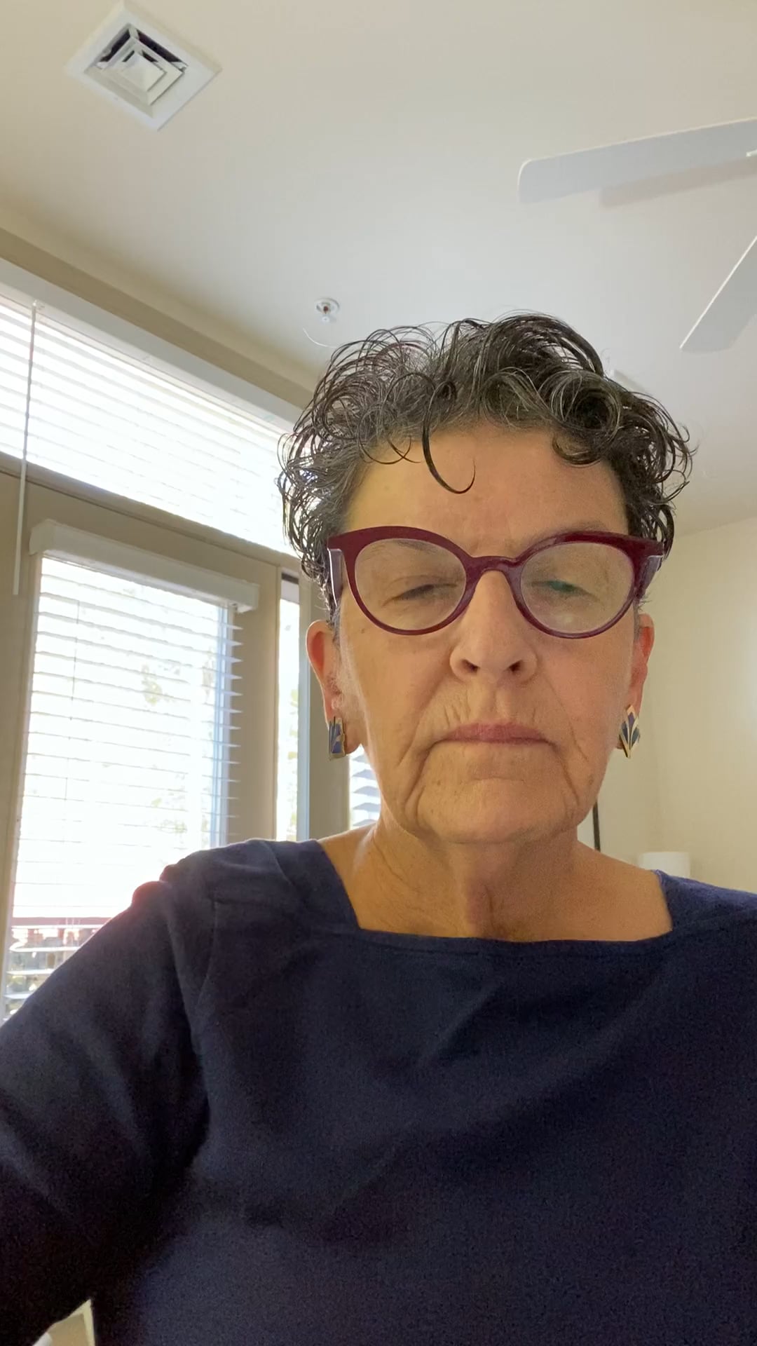 Ann Susan Brenner