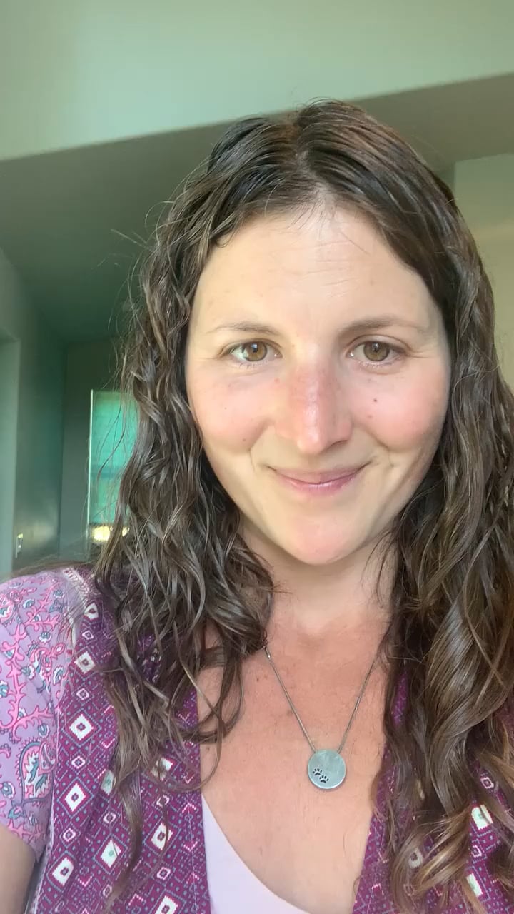 Traci Schneider