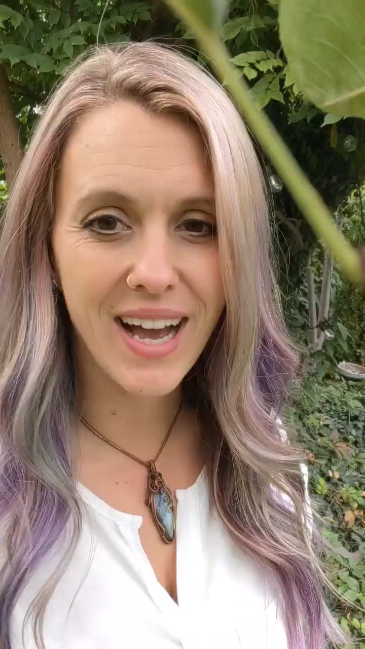 Soulscape Services: Psychotherapy & Wellness Hub