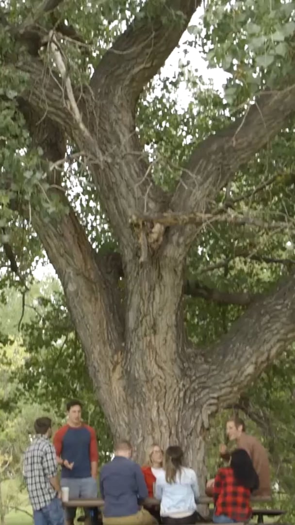 Sandstone Care Teen & Young Adult Treatment Center