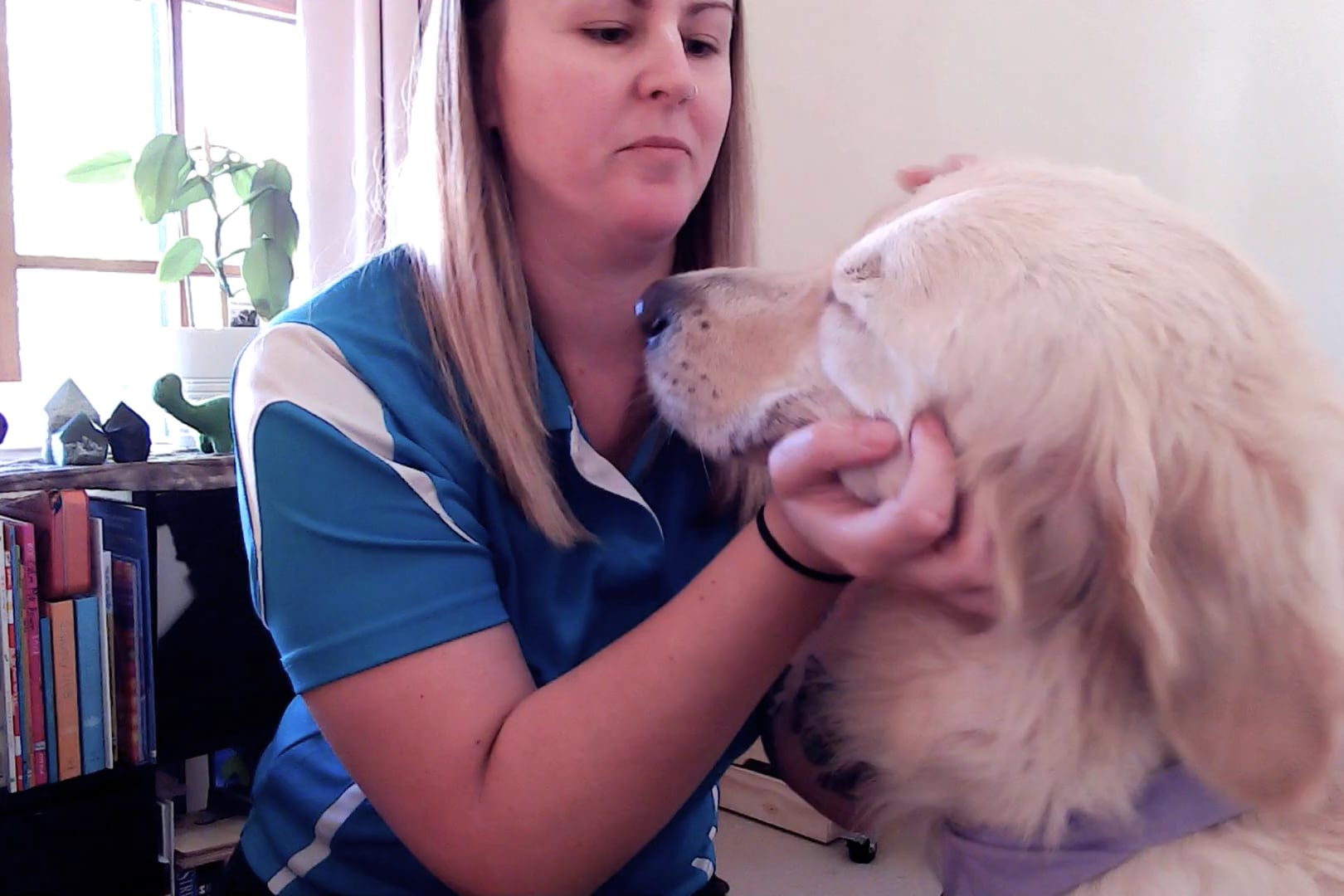 Bluest Skies Counselling + Animal Assisted Therapy
