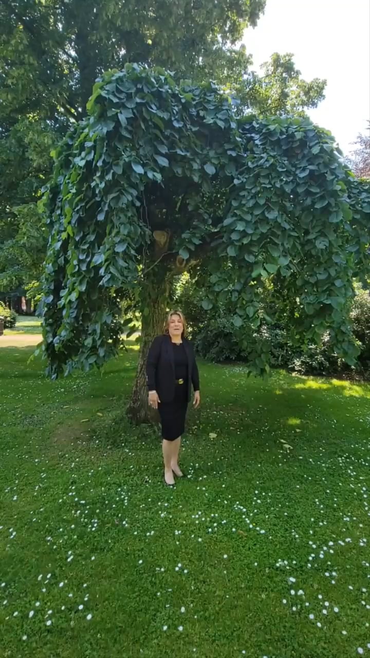 Cheryl Rittfeldt