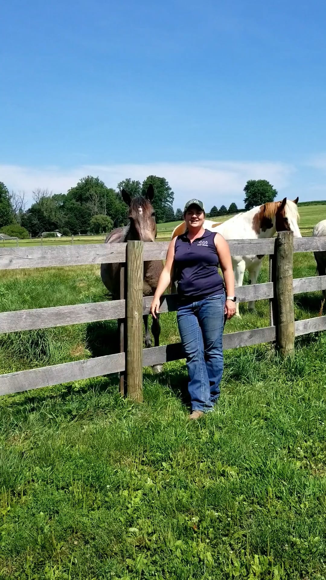 Take Heart Counseling & Equine Assisted Therapy