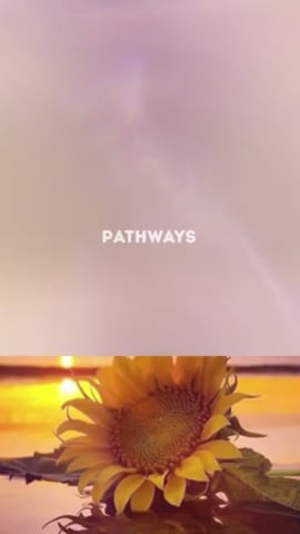 Majestic Trauma Specialist