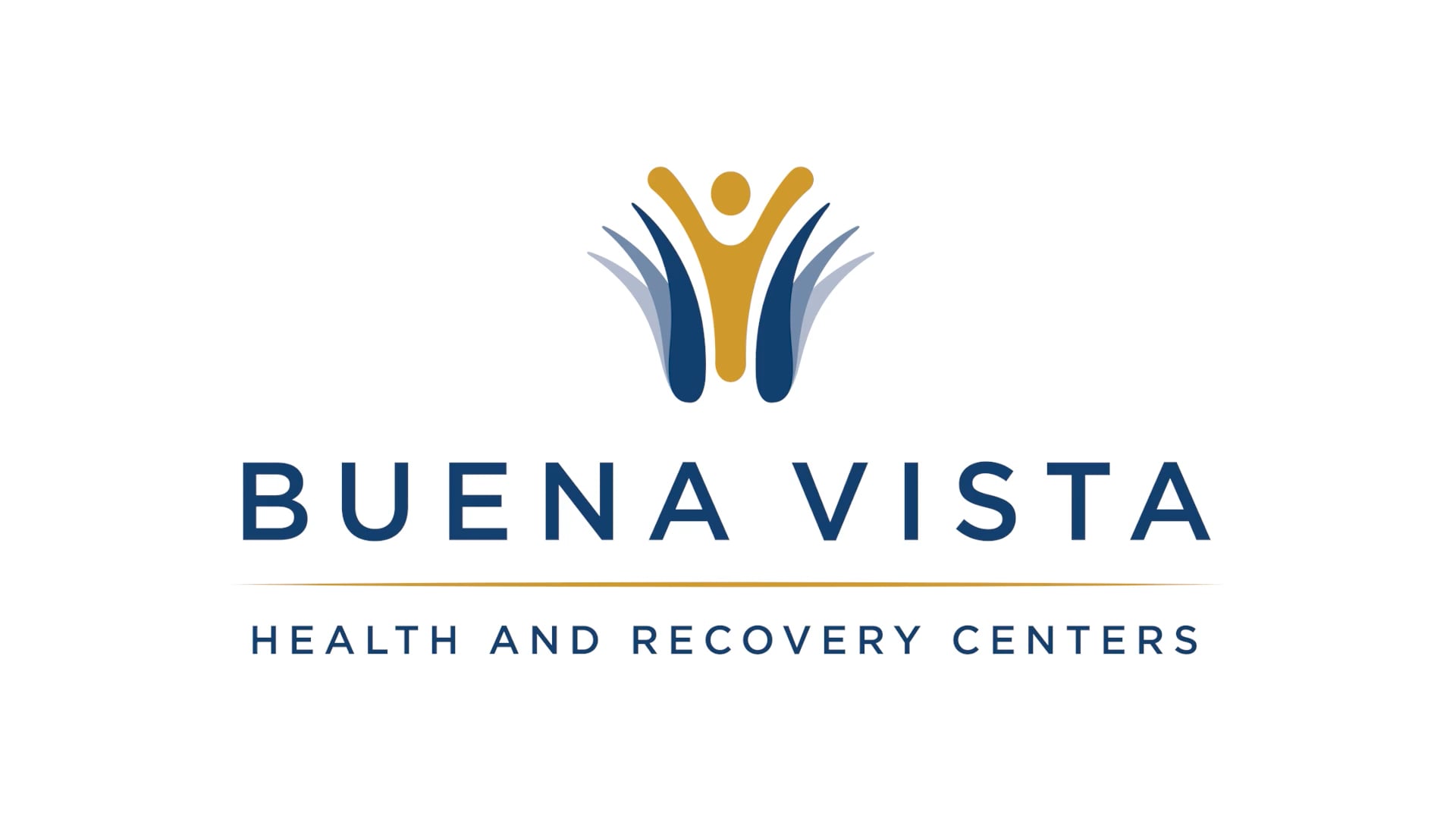 Buena Vista Health and Recovery Centers