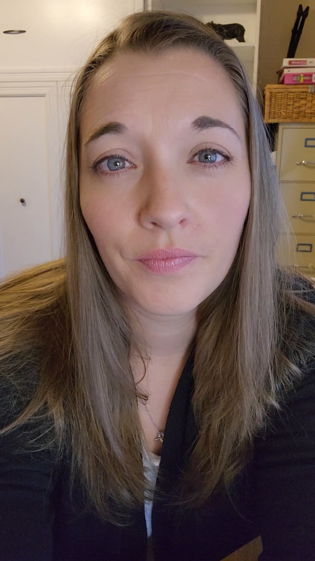 Laura A. Snyder