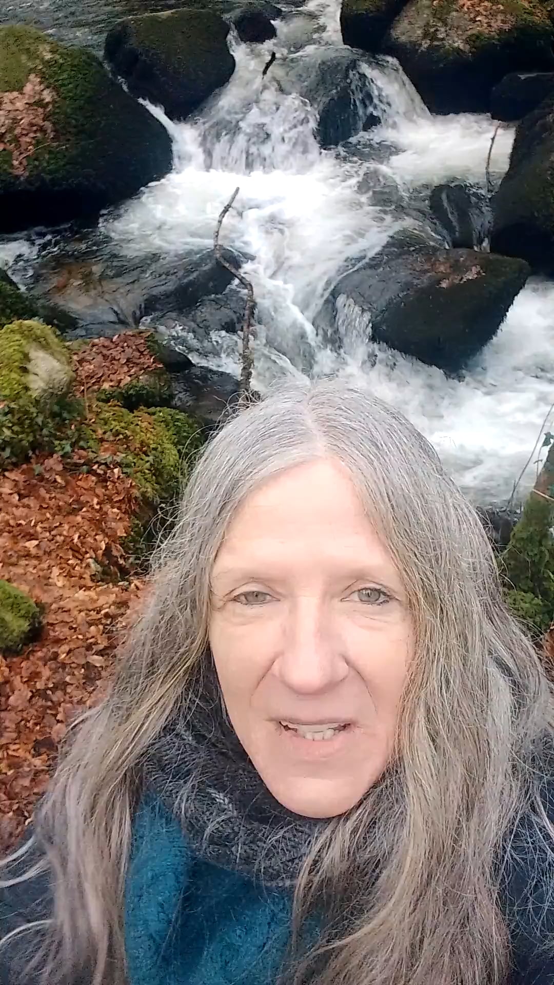 Walking Forward Therapy