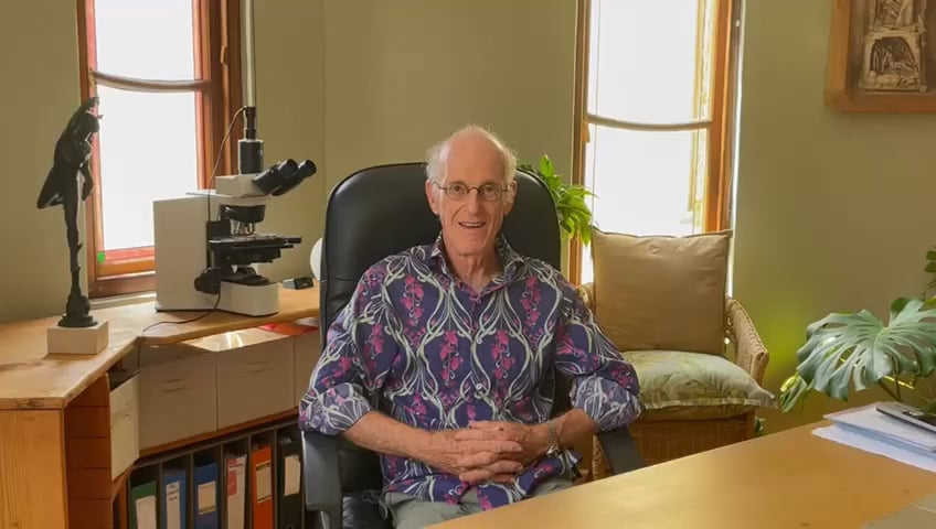 Raoul Colin Goldberg
