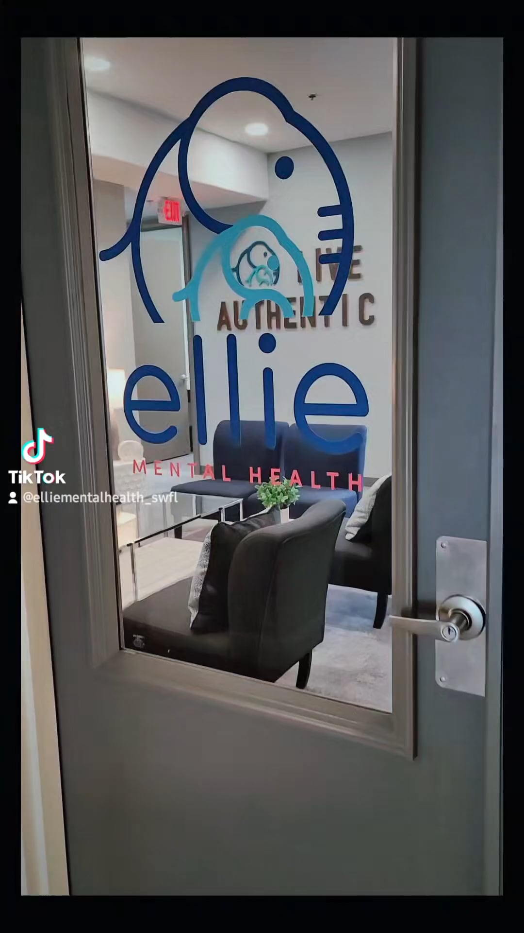 Ellie Mental Health- Naples, FL (Therapy)