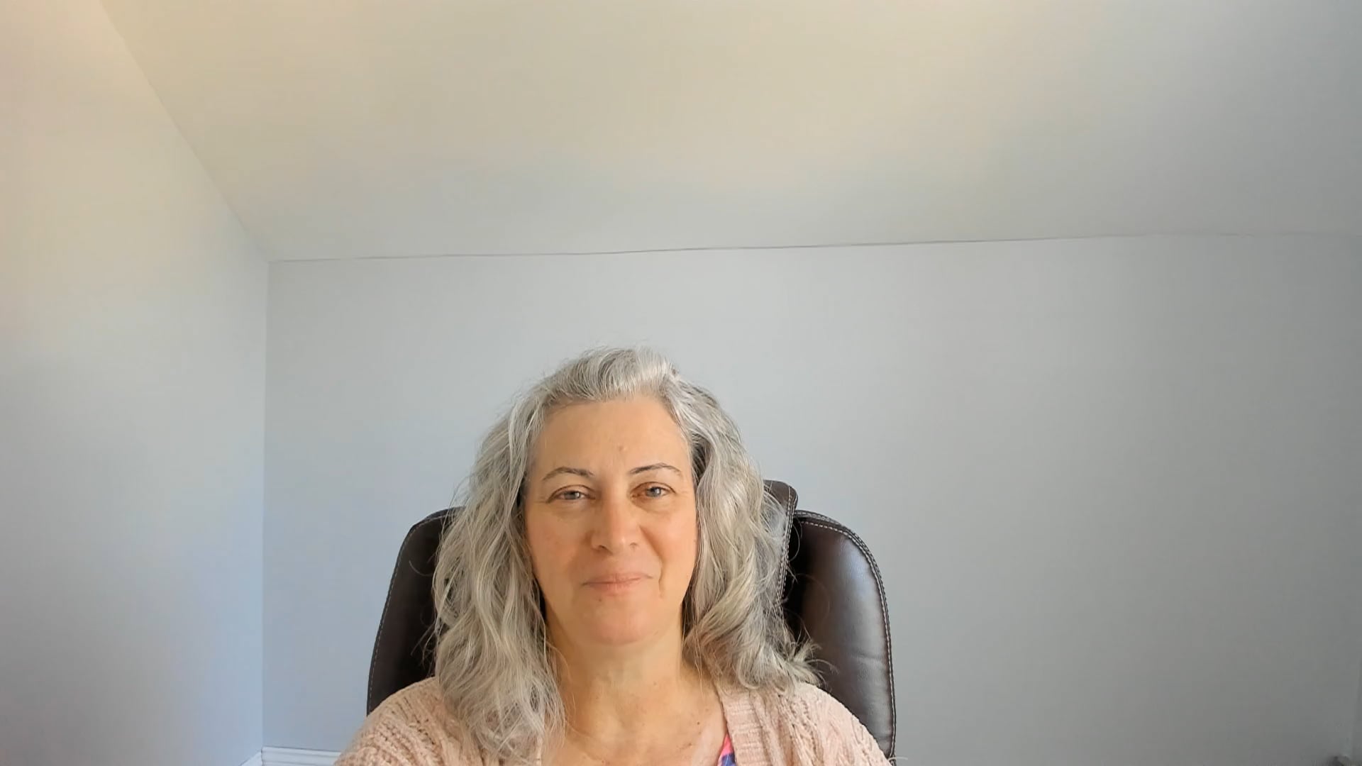 Hudson Therapeutic Counseling llc