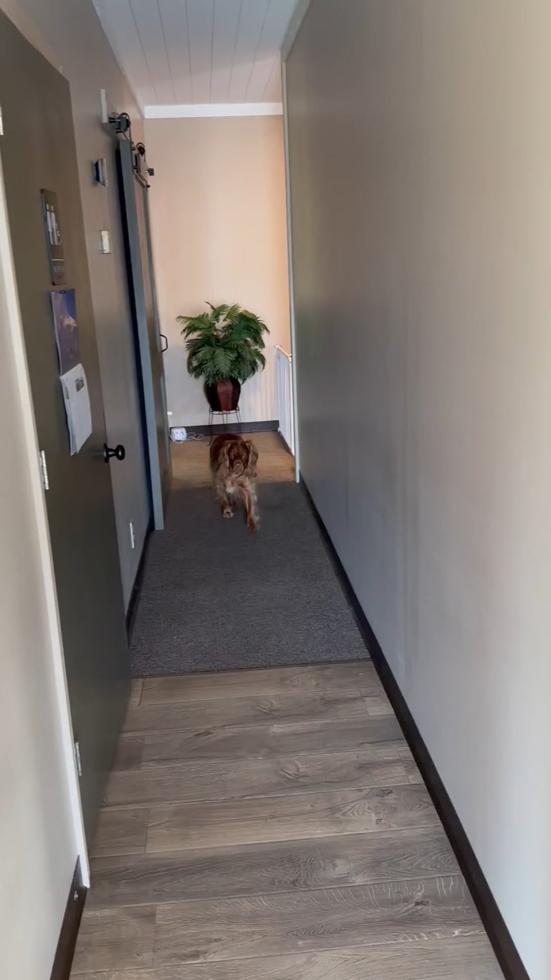 Scott Michael Murray